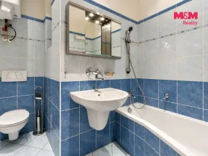 Pronájem bytu 1+1, Praha - Žižkov, Kubelíkova, 63 m2