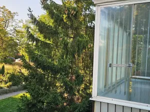 Prodej bytu 3+1, Praha - Michle, Osnická, 82 m2