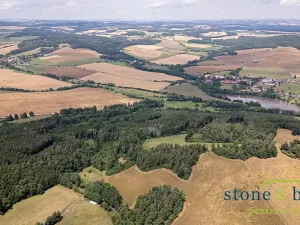 Prodej lesa, Zvěstov, 45954 m2