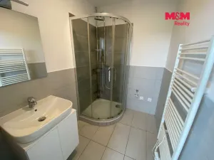 Pronájem bytu 1+1, Nový Jičín, Dlouhá, 44 m2