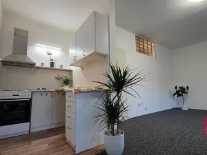 Prodej bytu 1+kk, Olomouc, Norská, 39 m2
