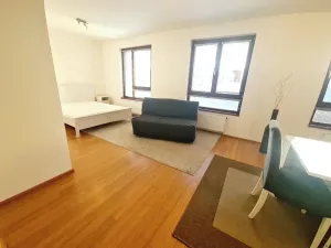 Pronájem bytu 1+kk, Praha - Žižkov, Baranova, 40 m2