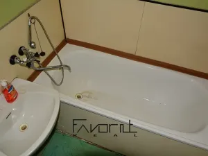 Prodej bytu 2+1, Ostrava, Francouzská, 56 m2