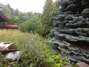 Prodej chalupy, Hlinná, 210 m2