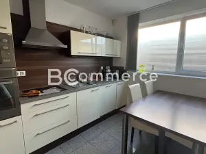 Pronájem komerčního pozemku, Pohořelice, 3700 m2