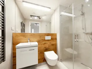 Pronájem bytu 2+kk, Brno, Cejl, 48 m2