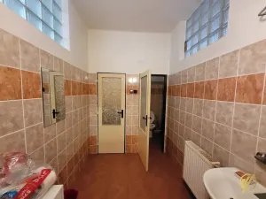 Prodej obchodního prostoru, Lysá nad Labem, Tyršova, 700 m2