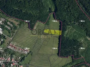 Prodej pole, Kanice, 5202 m2