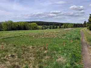 Prodej louky, Osek, 1013 m2