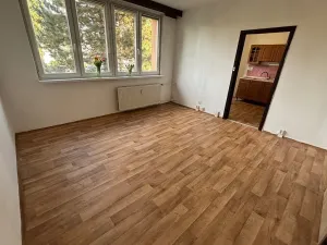 Pronájem bytu 3+1, Ostrava, Zelená, 65 m2