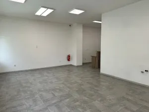 Pronájem komerční nemovitosti, Děčín, Prokopa Holého, 72 m2