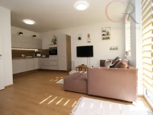 Pronájem bytu 1+kk, Plzeň - Jižní Předměstí, Inženýrská, 50 m2