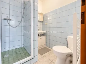 Prodej ubytování, Strachotín, Sklepní, 285 m2