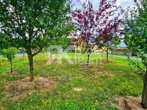 Prodej chalupy, Čaková, 150 m2