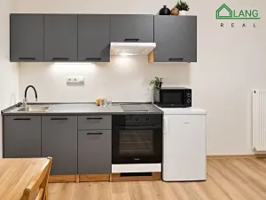Pronájem bytu 1+kk, Brno, Francouzská, 31 m2