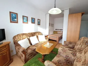 Pronájem bytu 1+1, Zlín, Podlesí V, 36 m2