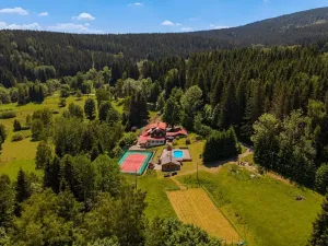 Prodej louky, Bartošovice v Orlických horách, 44000 m2