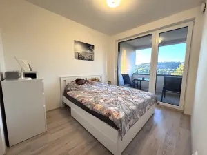 Pronájem bytu 2+kk, Praha - Holešovice, Jankovcova, 43 m2