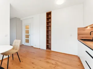 Pronájem bytu 1+kk, Praha - Břevnov, Pod Drinopolem, 41 m2