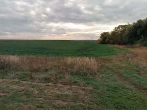 Prodej pozemku, Žiželice, 12734 m2