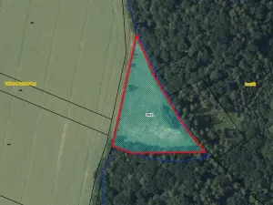 Prodej louky, Vidice, 7450 m2
