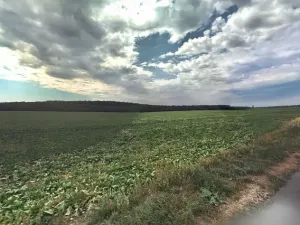 Prodej pole, Běchary, 12202 m2