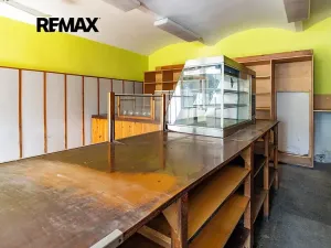 Prodej rodinného domu, Cvikov, Československé armády, 500 m2