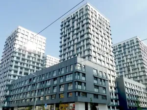 Pronájem bytu 2+kk, Praha - Žižkov, Olšanská, 61 m2