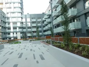 Pronájem bytu 2+kk, Praha - Žižkov, Olšanská, 61 m2
