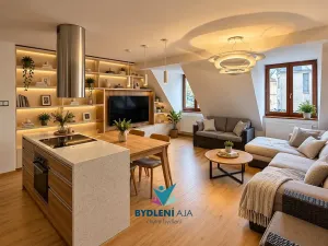 Prodej domu, Teplice, Laubeho náměstí, 425 m2