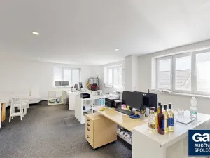 Prodej obchodního prostoru, Tavíkovice, 2774 m2