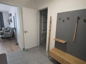 Pronájem bytu 2+kk, Praha, K jezeru, 55 m2