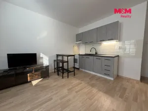 Pronájem bytu 2+kk, České Budějovice - České Budějovice 3, Riegrova, 44 m2