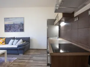 Prodej bytu 2+kk, Praha - Žižkov, Jana Želivského, 56 m2