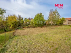 Prodej pozemku pro bydlení, Lešany - Nová Ves, 705 m2