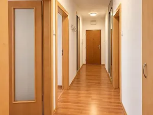 Pronájem bytu 3+kk, Plasy, Potoční, 76 m2