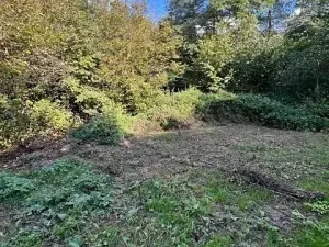 Prodej lesa, Březolupy, 910 m2