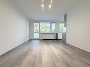 Pronájem bytu 1+kk, Praha, Michnova, 28 m2