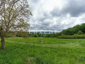 Prodej komerčního pozemku, Lipnice nad Sázavou, 38008 m2