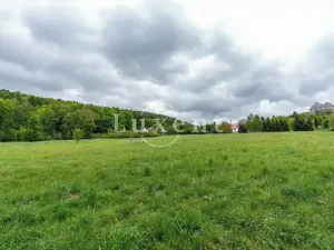 Prodej komerčního pozemku, Lipnice nad Sázavou, 38008 m2