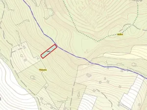 Prodej lesa, Třebenice, 1475 m2