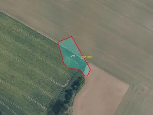 Prodej pole, Stránka, 2020 m2