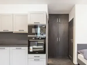 Prodej bytu 1+kk, Pec pod Sněžkou, 24 m2