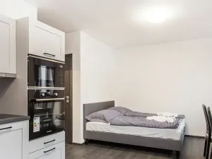 Prodej bytu 1+kk, Pec pod Sněžkou, 24 m2
