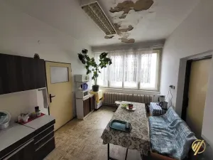 Prodej obchodního prostoru, Lysá nad Labem, Tyršova, 700 m2