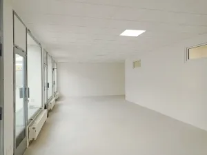 Pronájem obchodního prostoru, Brno, Palackého třída, 90 m2