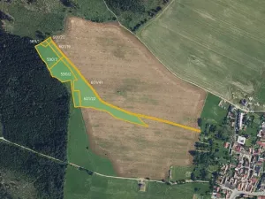 Prodej pole, Žďárná, 11618 m2