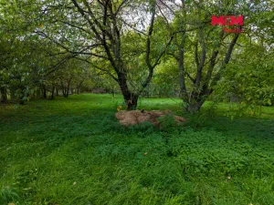 Prodej pozemku pro bydlení, Zdechovice, 978 m2