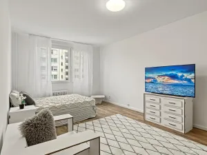 Prodej bytu 1+1, Ústí nad Labem - Střekov, Nová, 42 m2