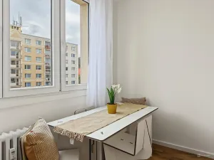 Prodej bytu 1+1, Ústí nad Labem - Střekov, Nová, 42 m2